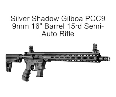 semi-auto rifle